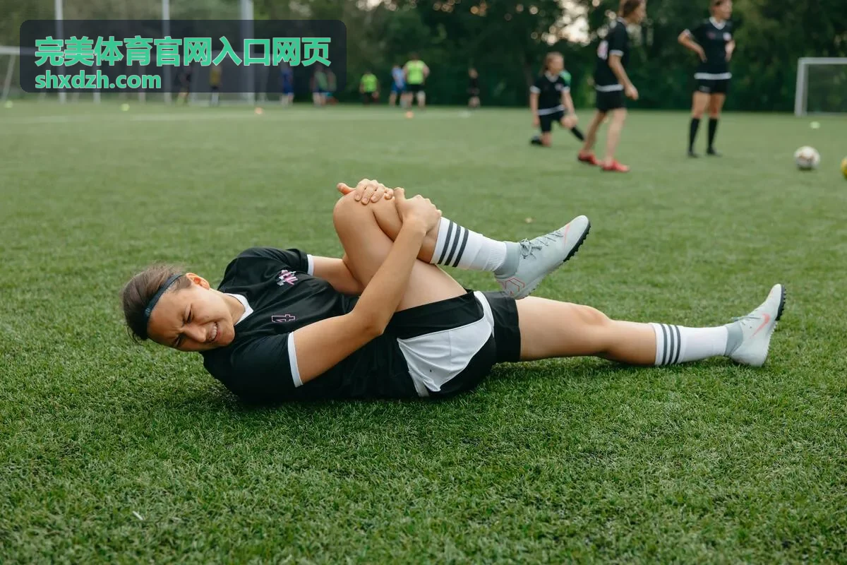 完美体育官网入口网页已有账号登录入口