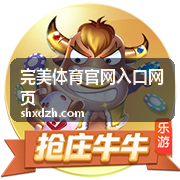 完美体育官网入口网页入口操作界面示意