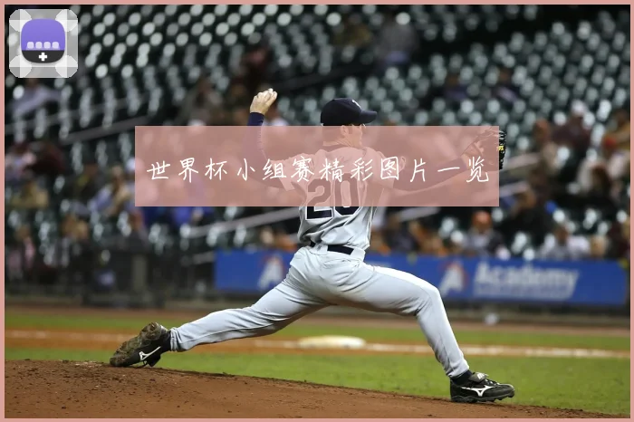 世界杯小组赛精彩图片一览