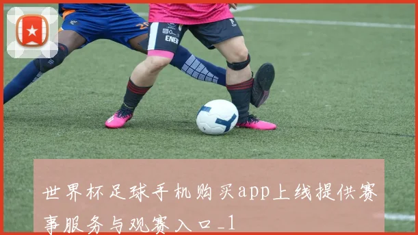 世界杯足球手机购买app上线提供赛事服务与观赛入口_1