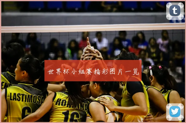 世界杯小组赛精彩图片一览